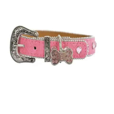 PW Stevie Dog Collar