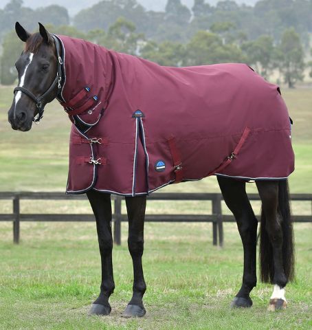 Weatherbeeta Comfitec Essential Combo 220G