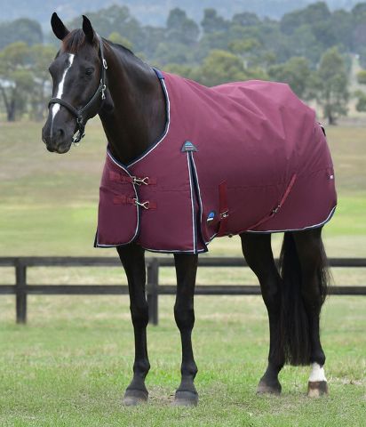 Weatherbeeta Comfitec Essential Standard 220G
