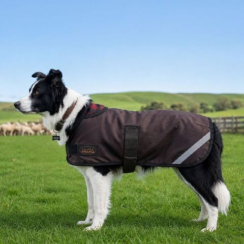 Double Hill Oilskin Dog Coats